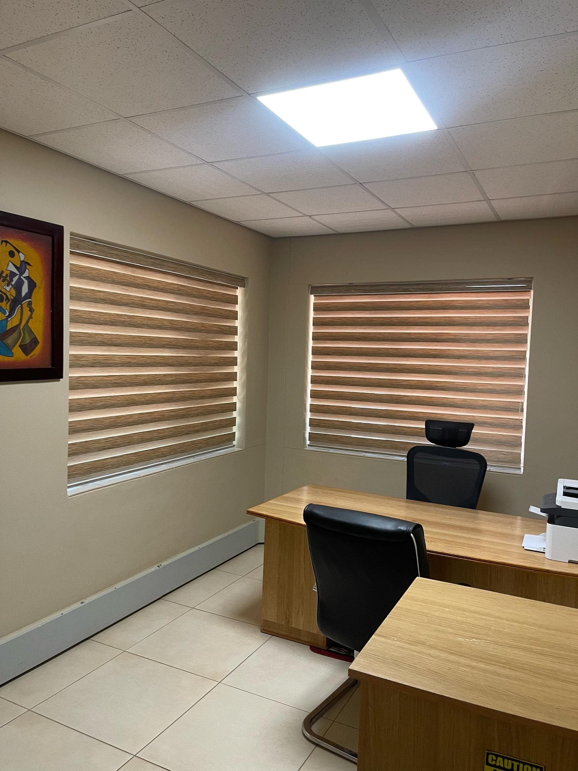 Zebra Blinds